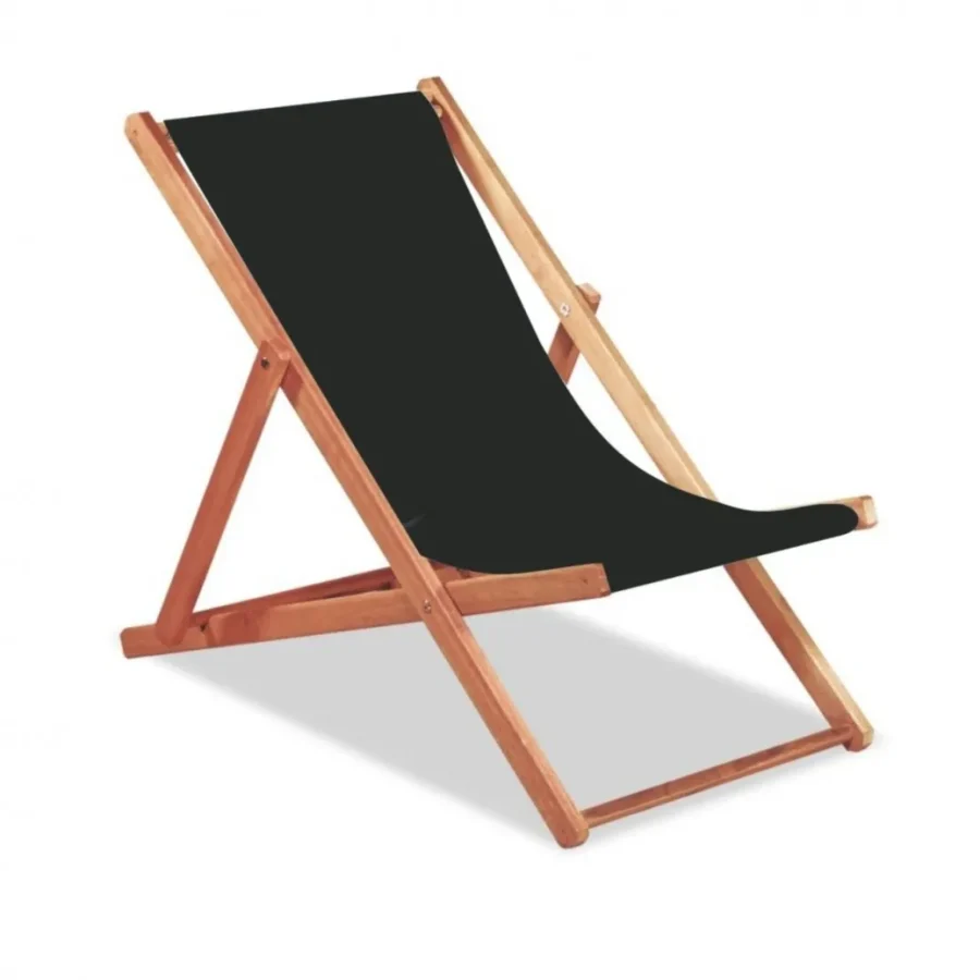 248-REPOSERAIBERALONANEGRA